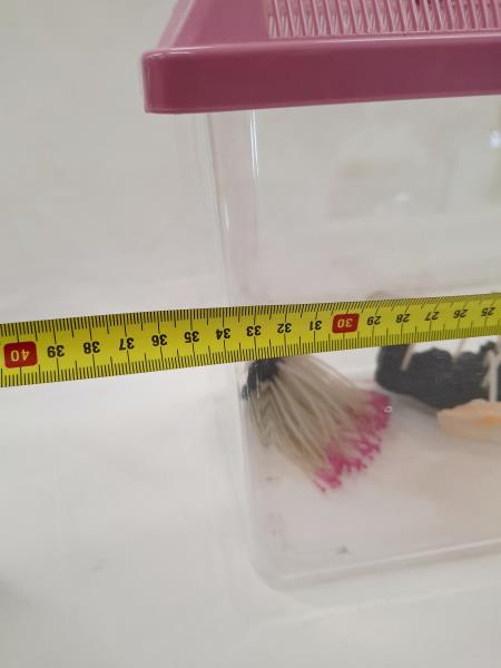 VASCHETTA PESCI ROSA CON DECORI