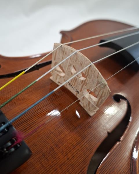 VIOLINO STENTOR 4/4 + CUSTODIA E ACCESSORI